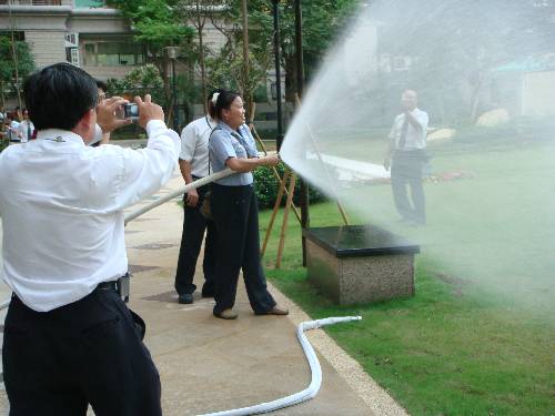 200807247901.JPG